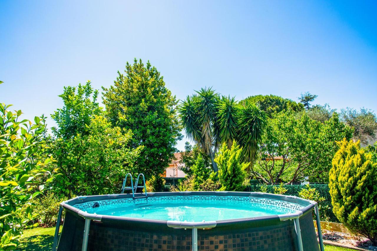 Villa Provence-Spa&Bbq Centre Au Calme- Jardin - Terrasses La Valette-du-Var Exteriör bild